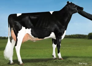 Armada Gallary Thumbnails