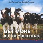 Sexcel Flyer A (English)