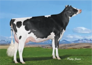 Hulk Gallary Thumbnails