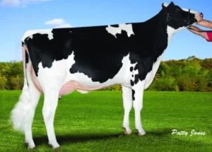 Stryker Gallary Thumbnails