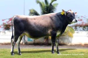 Trent Gallary Thumbnails