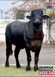 Murrah Sire Directory