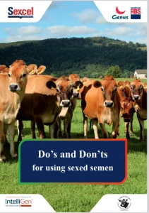 Do's and Don'ts SOP (English)