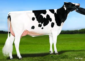 Millenium Gallary Thumbnails